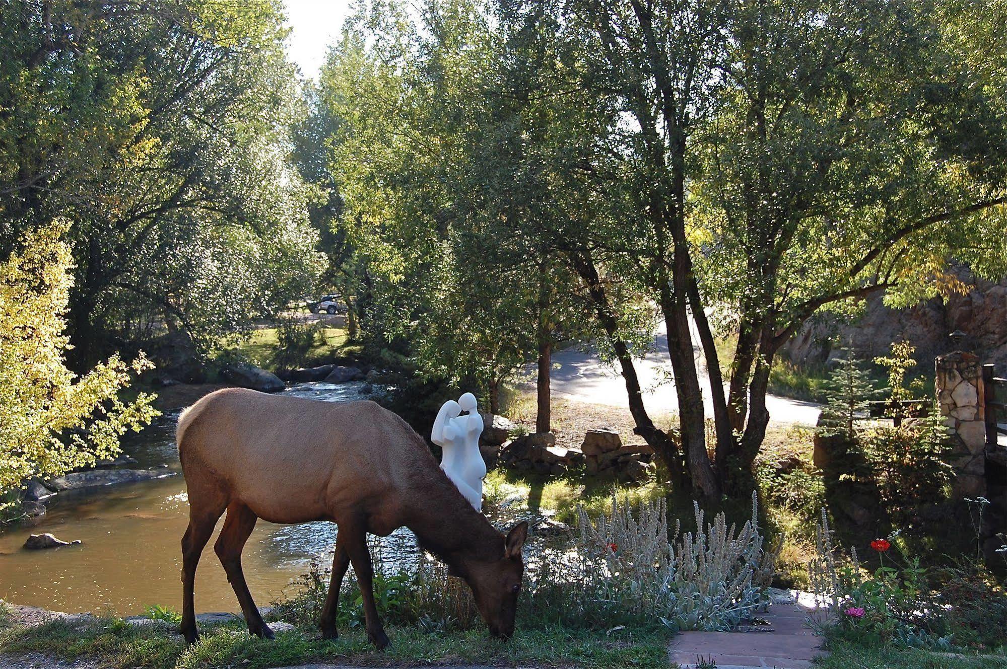 Highland Haven Creekside Inn Эвергрин Экстерьер фото